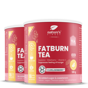 FatBurn Tea пакет