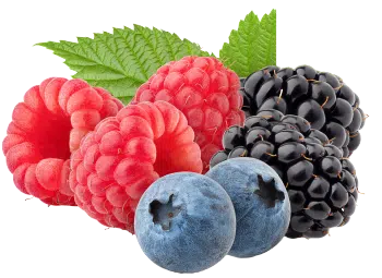 Вкус на горски плодове