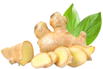 Джинджифил